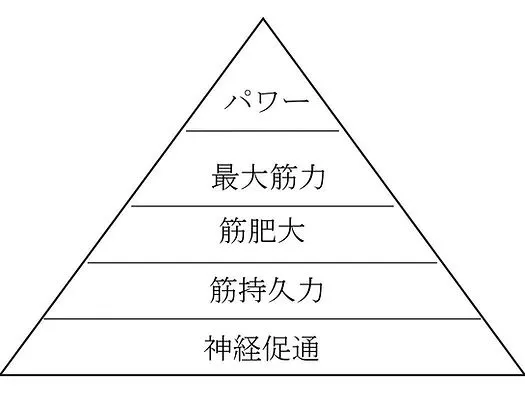  筋トレにおけるステージ