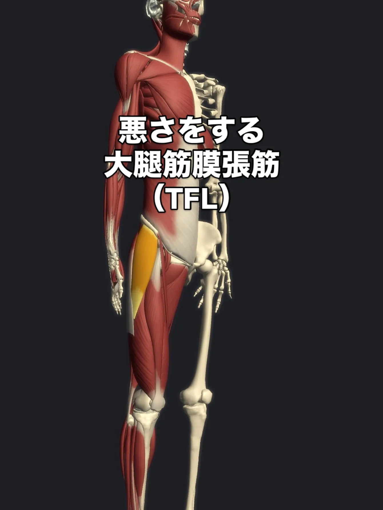 📍浅草・入谷エリアの姿勢改善特化型パーソナルジム