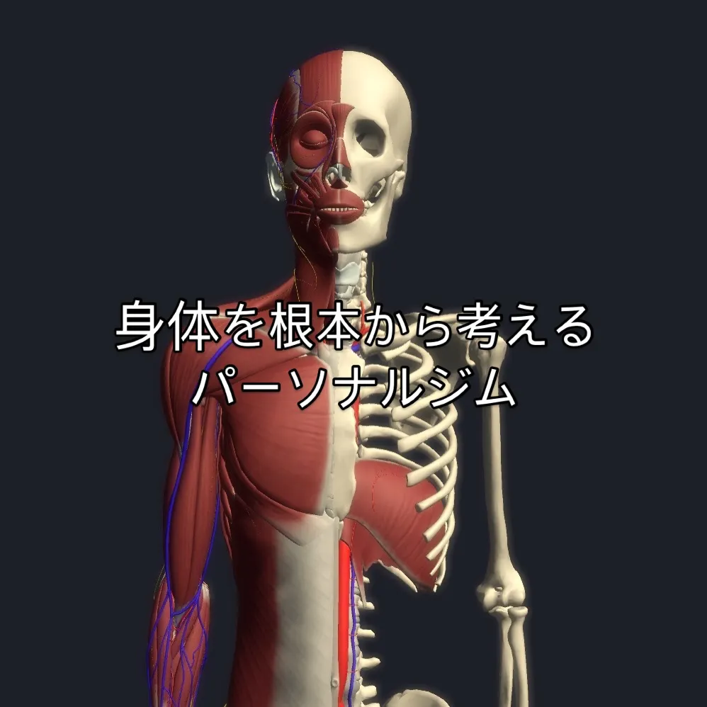 【浅草・入谷で姿勢や動きを整えるパーソナルジム】