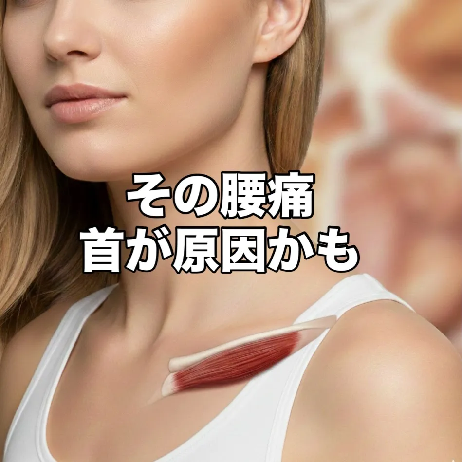 【入谷のパーソナルジムが解説💡】