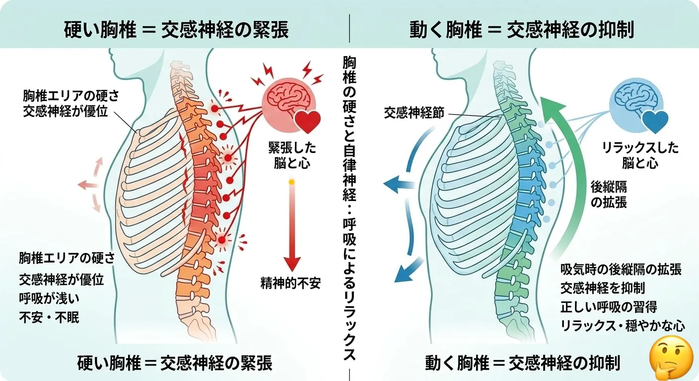 入谷・浅草・上野で自律神経を整えるなら｜胸椎を緩める呼吸法